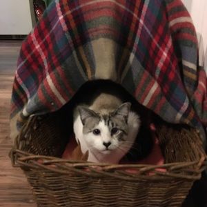 Meet your Posher, Veronica